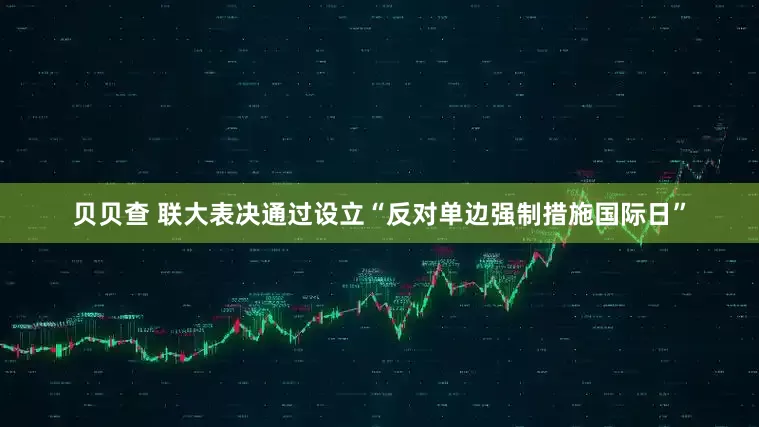 贝贝查 联大表决通过设立“反对单边强制措施国际日”