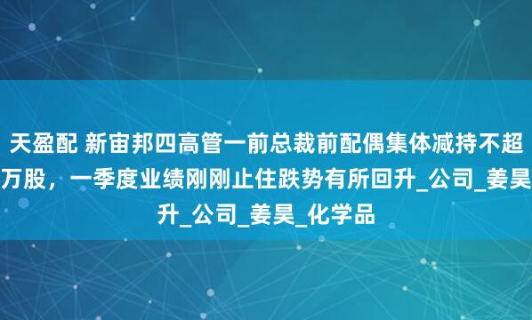 天盈配 新宙邦四高管一前总裁前配偶集体减持不超126.88万股，一季度业绩刚刚止住跌势有所回升_公司_姜昊_化学品