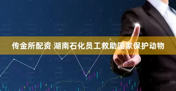 传金所配资 湖南石化员工救助国家保护动物